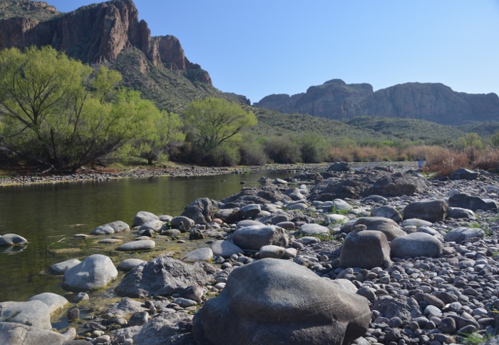 Salt River 